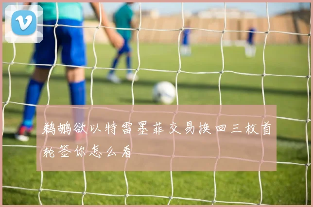 鹈鹕欲以特雷墨菲交易换回三枚首轮签你怎么看