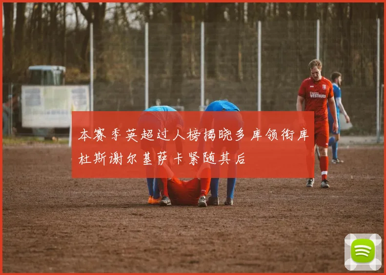 本赛季英超过人榜揭晓多库领衔库杜斯谢尔基萨卡紧随其后